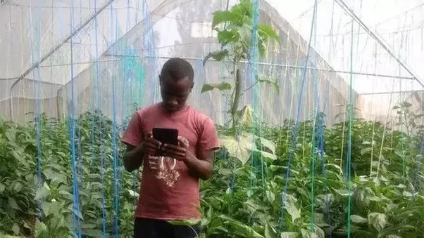 youth digital farmer